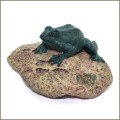 frog on garden stone