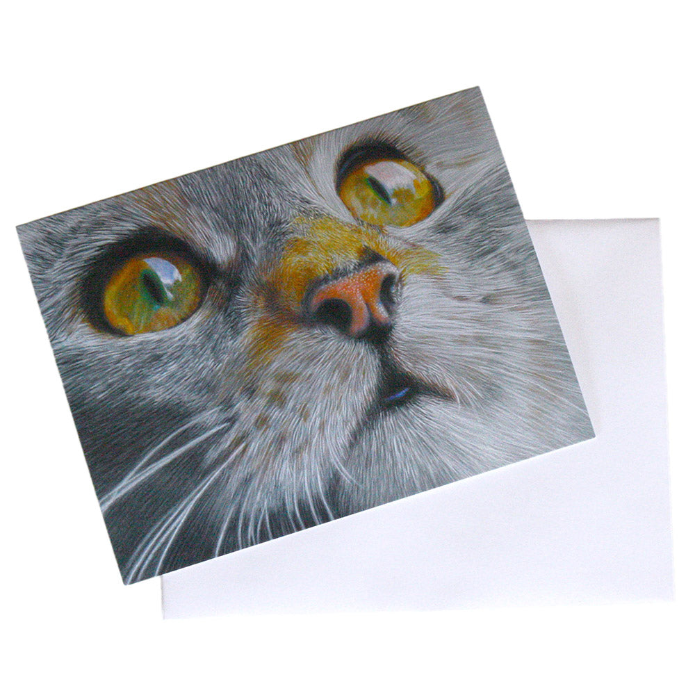 illustrated calico kitten note card