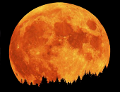 JoomlaWorks Simple Image Rotator