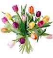 15 Stem Mixed Tulip Bouquet